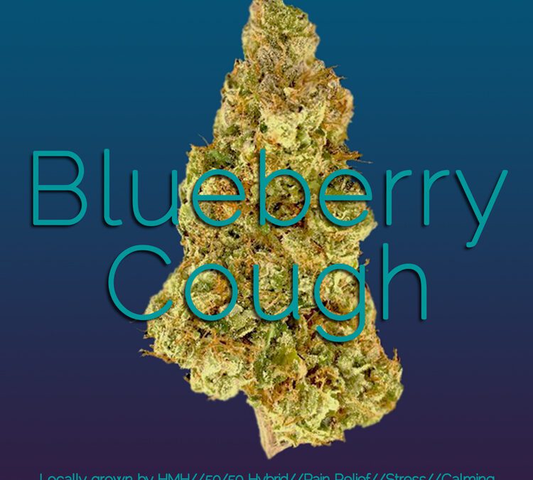 HMH Strain Reviews: Blueberry Cough