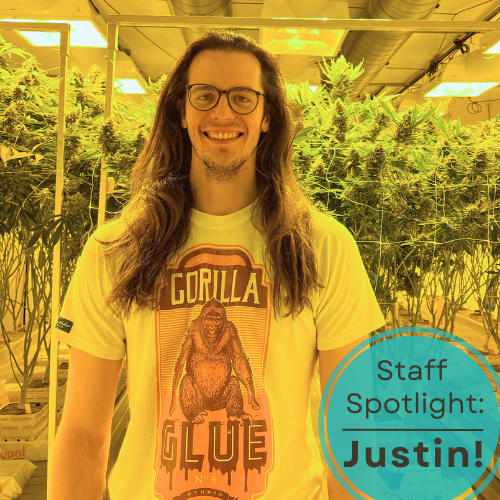 Staff Spotlight: Meet Justin!