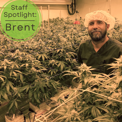 Staff Spotlight: Meet Brent!